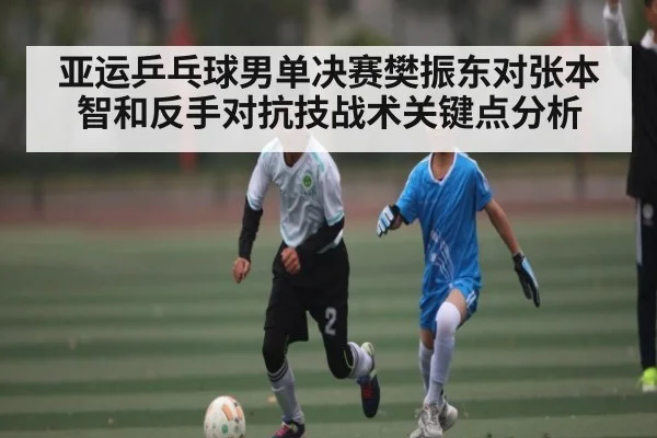亚运乒乓球男单决赛樊振东对张本智和反手对抗技战术关键点分析（kaiyun）